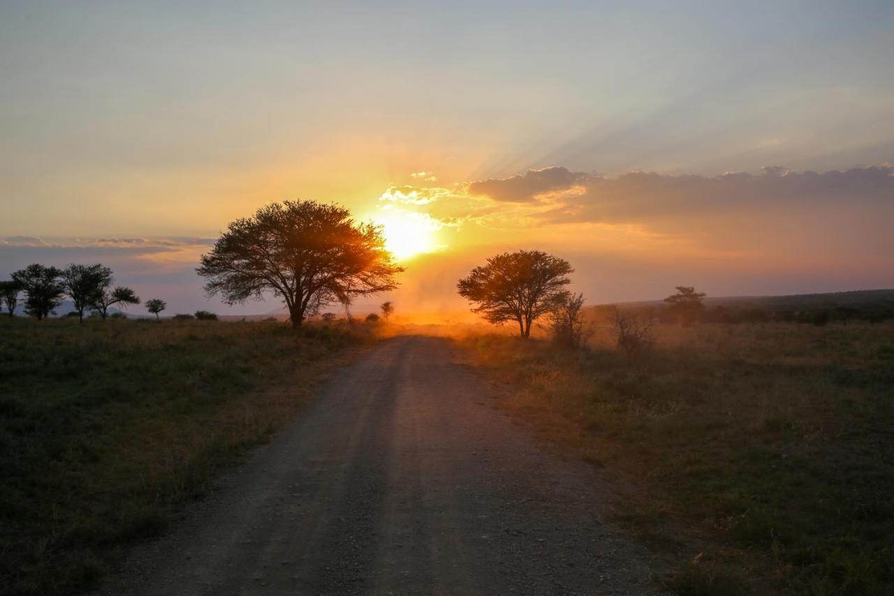 Osero Serengeti Luxury Tented Camp Banagi Eksteriør billede