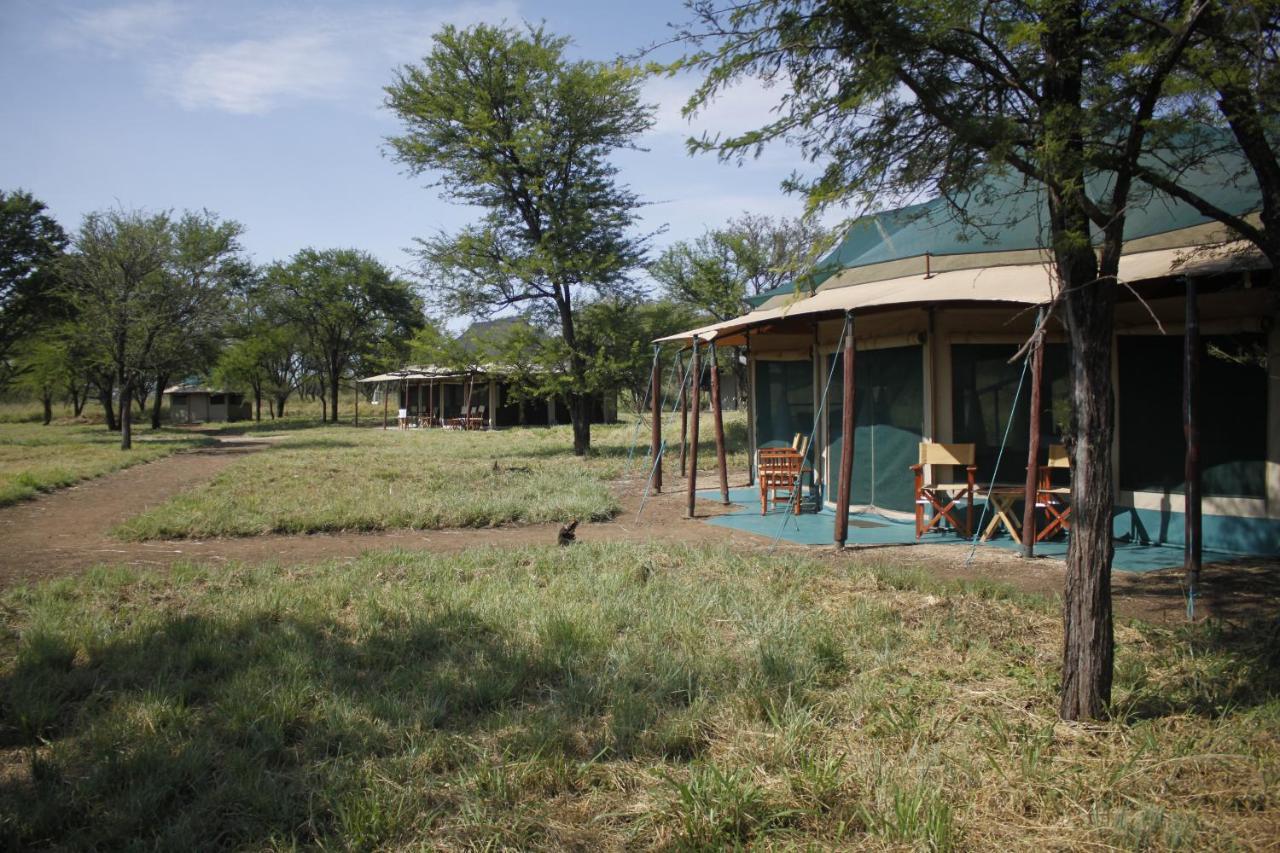 Osero Serengeti Luxury Tented Camp Banagi Eksteriør billede