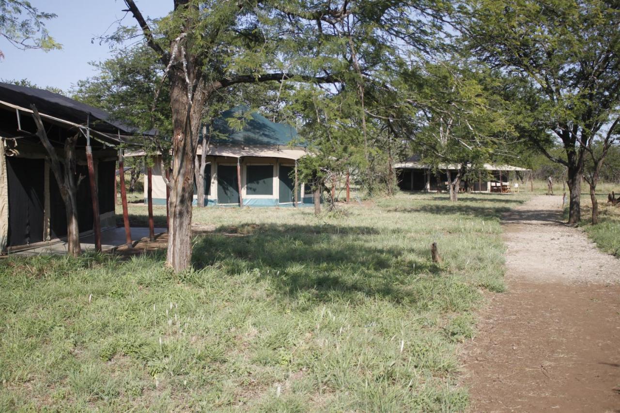 Osero Serengeti Luxury Tented Camp Banagi Eksteriør billede