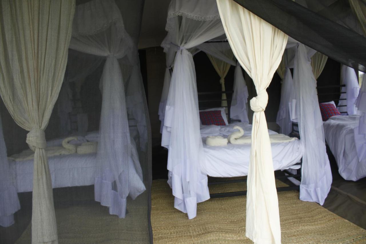 Osero Serengeti Luxury Tented Camp Banagi Eksteriør billede